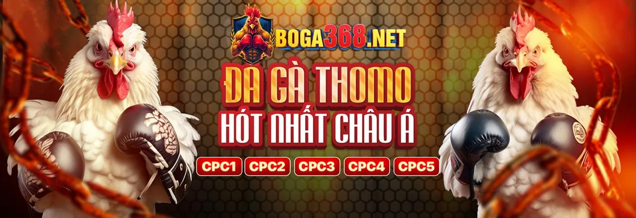 Đá gà kịch tính tại g666 casino